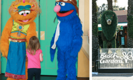 The Best Busch Gardens Attractions, as Told by Kids Ages 4-44